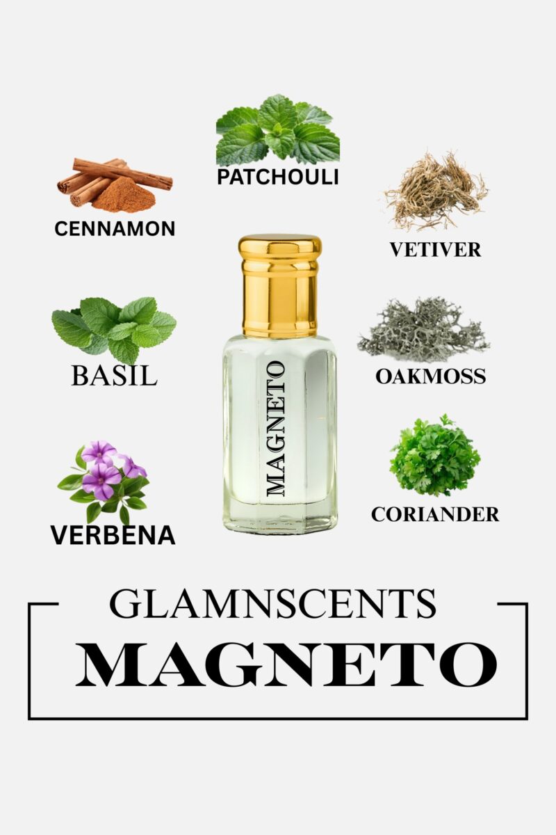 MAGNETO - Image 2